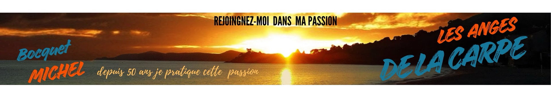 Bannière de la chaîne Les Anges de la Carpe